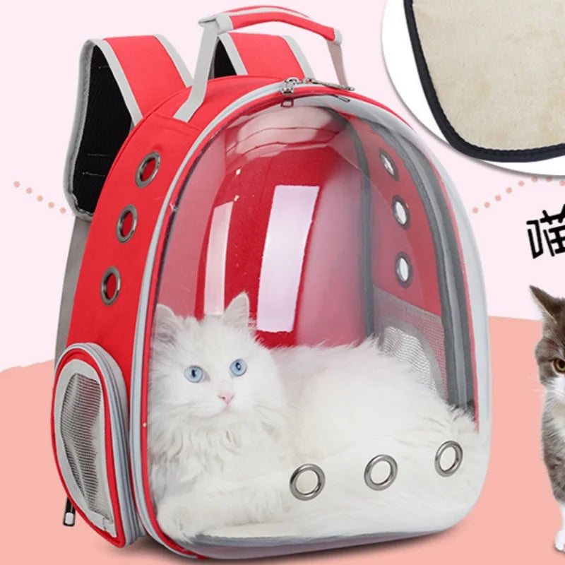Kapsel Bubble Haustier Rucksack kleine Katze Haustier Trage Rucksack Transparente Tier Welpen Kitty Vogel atmungsaktive Haustierträger für Reisen
