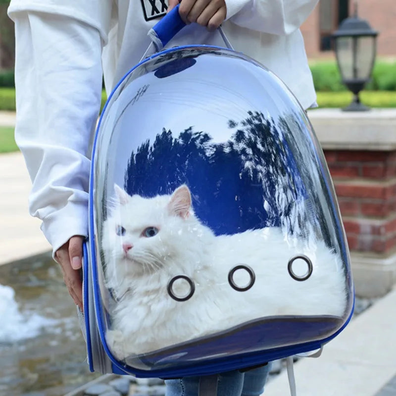 Kapsel Bubble Haustier Rucksack kleine Katze Haustier Trage Rucksack Transparente Tier Welpen Kitty Vogel atmungsaktive Haustierträger für Reisen
