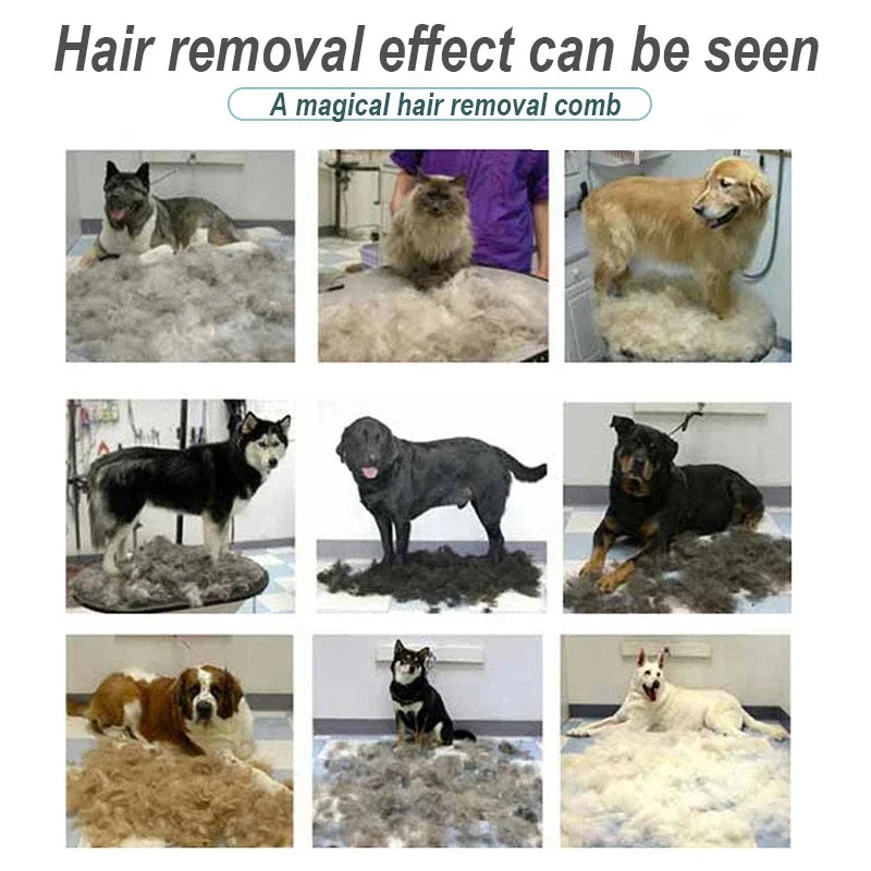 Katzenbürste für lange Haare,Haustier-Enthaarungswerkzeug für Hunde und Katzen,kurzer Katzenkamm,Hundehaar...