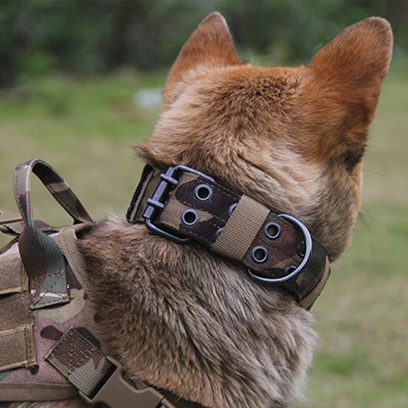 Verstellbares Hundehalsband,klassisch,reflektierend,für Training,Militär-Hundehalsband, Nylon,strapazierfähig,taktisches Hundehalsband,Deutscher Schäferhund
